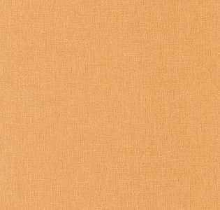 Caselio Danae DAE68523366 для кухни для спальни для гостиной для коридора для кабинета для загородного дома для комнаты для прихожей оранжевый