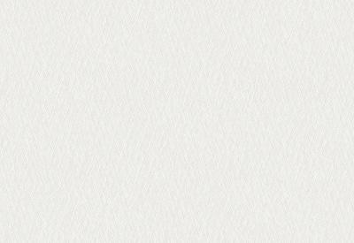 Обои виниловые на флизелиновой основе