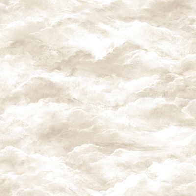 RWA2601-6 Обои виниловые на флизелиновой основе