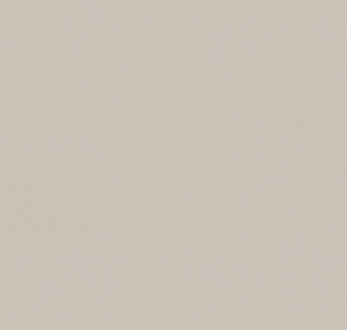 Cassanie Simply SP014 для кухни для спальни для гостиной для коридора для кабинета для загородного дома для комнаты для прихожей бежевый