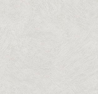 A.S. Creation Sylvana 8921-19 для кухни для спальни для гостиной для коридора для кабинета для загородного дома для комнаты для прихожей серый светло-серый