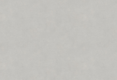 Обои виниловые на флизелиновой основе