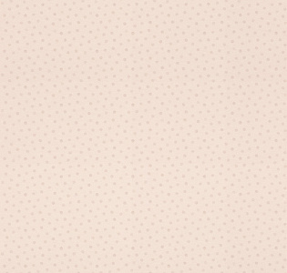 Rasch Bambino XIX 253047 для детской бежевый