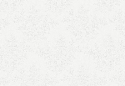 Обои виниловые на флизелиновой основе