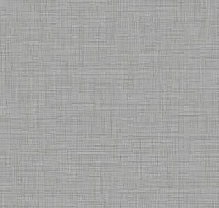 Alessandro Allori Giorgio RGI1010-11 для кухни для спальни для гостиной для коридора для кабинета для загородного дома для комнаты для прихожей серый светло-серый