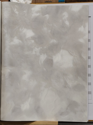 Обои виниловые на флизелиновой основе