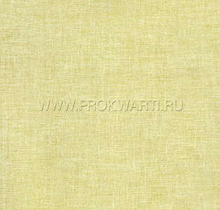 York Vibe EB2100 для спальни для гостиной для кабинета для загородного дома для комнаты для прихожей зеленый
