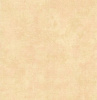 CD001362