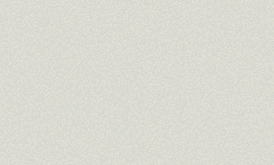 Обои виниловые на флизелиновой основе