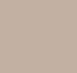 Grandeco Spring R149022 для кухни для спальни для гостиной для коридора для кабинета для загородного дома для комнаты для прихожей коричневый капучино