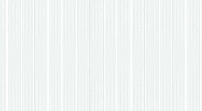 Обои виниловые на флизелиновой основе