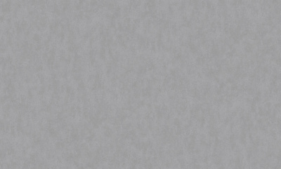 Обои виниловые на флизелиновой основе