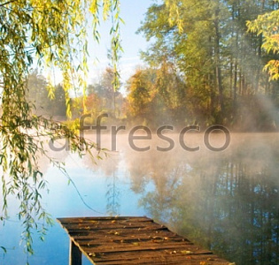 Affresco Фрески и фотообои ID10862