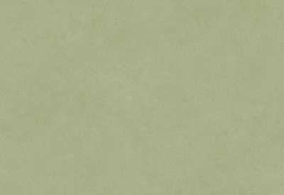 Обои виниловые на флизелиновой основе