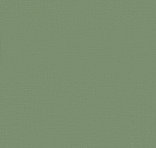 Erismann Casual Chic ER12143-07 для кухни для спальни для гостиной для коридора для кабинета для загородного дома для комнаты для прихожей зеленый