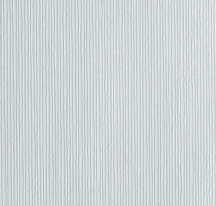 Parati&Parati Uno FN26030 для кухни для спальни для гостиной для коридора для кабинета для загородного дома для комнаты для прихожей серый светло-серый
