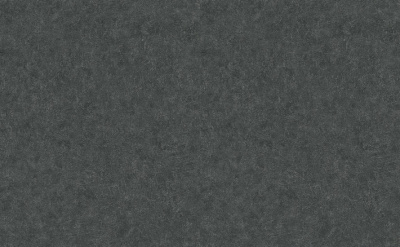 Обои виниловые на флизелиновой основе