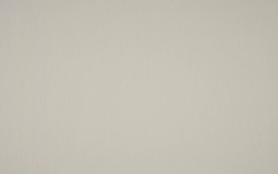 Обои виниловые на флизелиновой основе