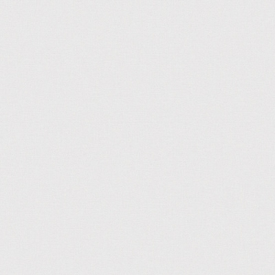 Обои виниловые на флизелиновой основе