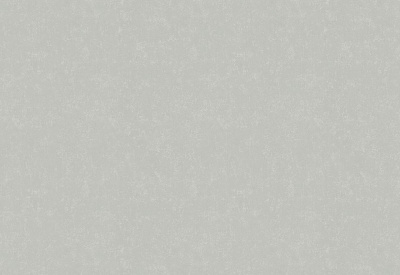 Обои виниловые на флизелиновой основе