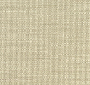 Sirpi Home 3 AltaGamma 24921 для кухни для спальни для гостиной для коридора для кабинета для загородного дома для комнаты для прихожей бежевый