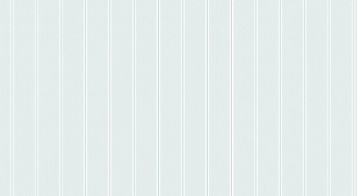 Обои виниловые на флизелиновой основе