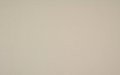 Обои виниловые на флизелиновой основе