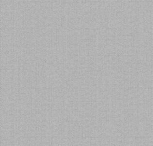 RBN1002-33 Alessandro Allori Bruni RBN1002-33 для кухни для спальни для гостиной для коридора для кабинета для загородного дома для комнаты для прихожей серый светло-серый