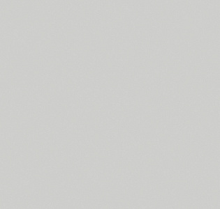 Aura Nordic Elegance 630213 для кухни для спальни для гостиной для коридора для кабинета для офиса для столовой для загородного дома для комнаты для прихожей серый светло-серый