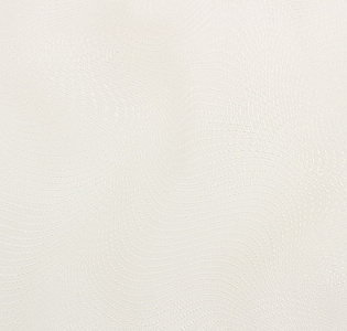 Erismann Anika 60328-02 для кухни для гостиной для кабинета для комнаты для прихожей белый