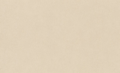 Обои виниловые на флизелиновой основе