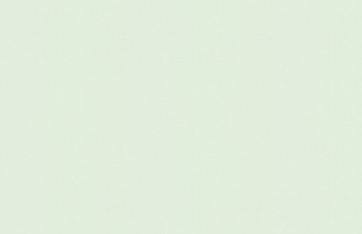 Обои виниловые на флизелиновой основе