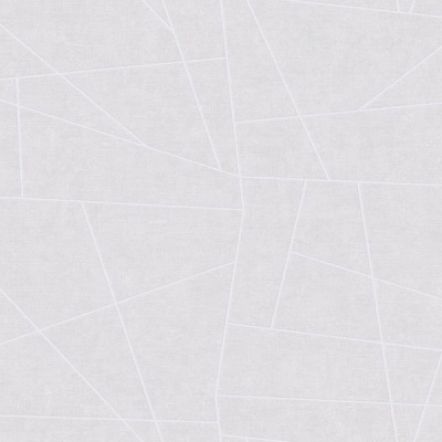 обои виниловые на флизелиновой основе
