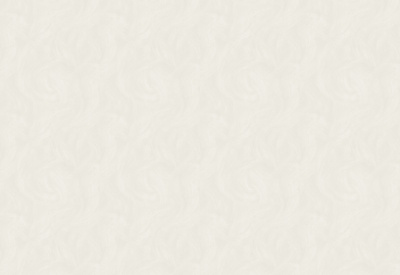 Обои виниловые на флизелиновой основе