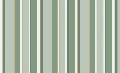 Обои виниловые на флизелиновой основе