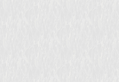 Обои виниловые на флизелиновой основе