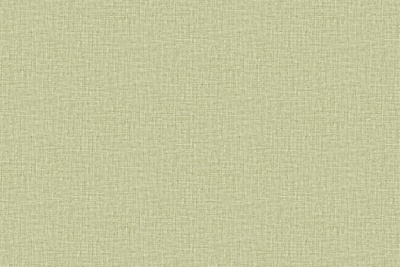 Обои виниловые на флизелиновой основе