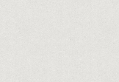 Обои виниловые на флизелиновой основе