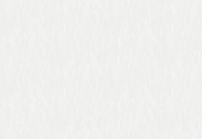 Обои виниловые на флизелиновой основе