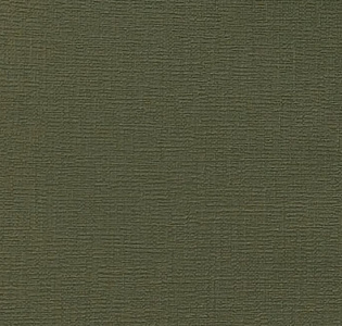 Alessandro Allori Bodega Grand R95011-30 для кухни для спальни для гостиной для коридора для кабинета для загородного дома для комнаты для прихожей зеленый