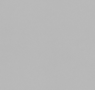 Cassanie Simply SP003 для кухни для спальни для гостиной для коридора для кабинета для загородного дома для комнаты для прихожей серый светло-серый