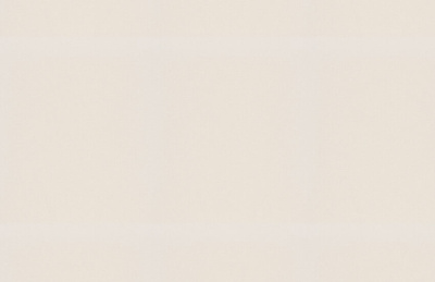 Обои виниловые на флизелиновой основе