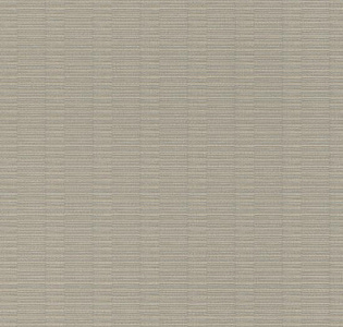 Rasch Fiesta 960938 для кухни для спальни для гостиной для коридора для кабинета для офиса для столовой для загородного дома для комнаты для прихожей серый