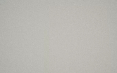 Обои виниловые на флизелиновой основе