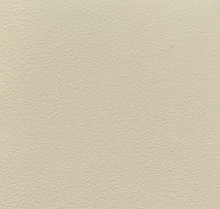 Alessandro Allori Bodega Grand R95014-5 для кухни для спальни для гостиной для коридора для кабинета для загородного дома для комнаты для прихожей кремовый