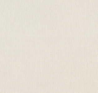 Rasch Excellent RH484519 для кухни для спальни для гостиной для коридора для кабинета для загородного дома для комнаты для прихожей белый