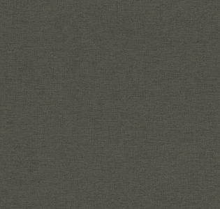 Rasch Kalahari 449853 для спальни для гостиной для кабинета для загородного дома для комнаты для прихожей темно-серый