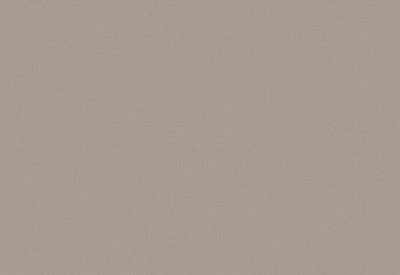 Обои виниловые на флизелиновой основе