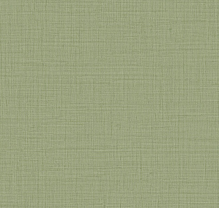 Alessandro Allori Giorgio RGI1010-13 для кухни для спальни для гостиной для коридора для кабинета для загородного дома для комнаты для прихожей зеленый