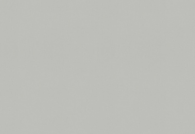 Обои виниловые на флизелиновой основе